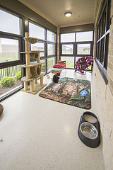 Cat porch new wing Cat porch new wing